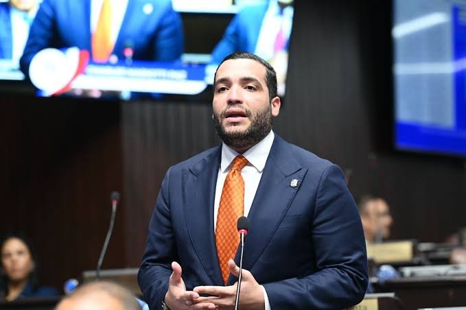 Mariotti propone interpelar a administradores de las EDE por aumentos de facturas eléctricas